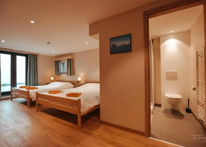 Hébergement de vacances Les Loneux 27 Pers, - Vue Incroyable - Wellness, Billard, Cinema